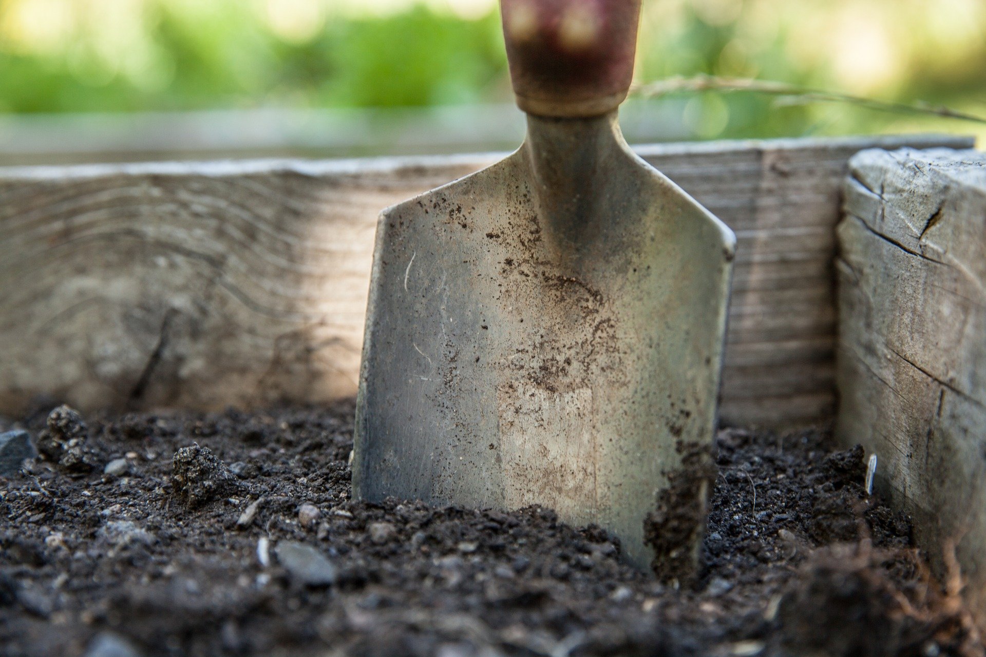 Herramientas básicas de jardinería