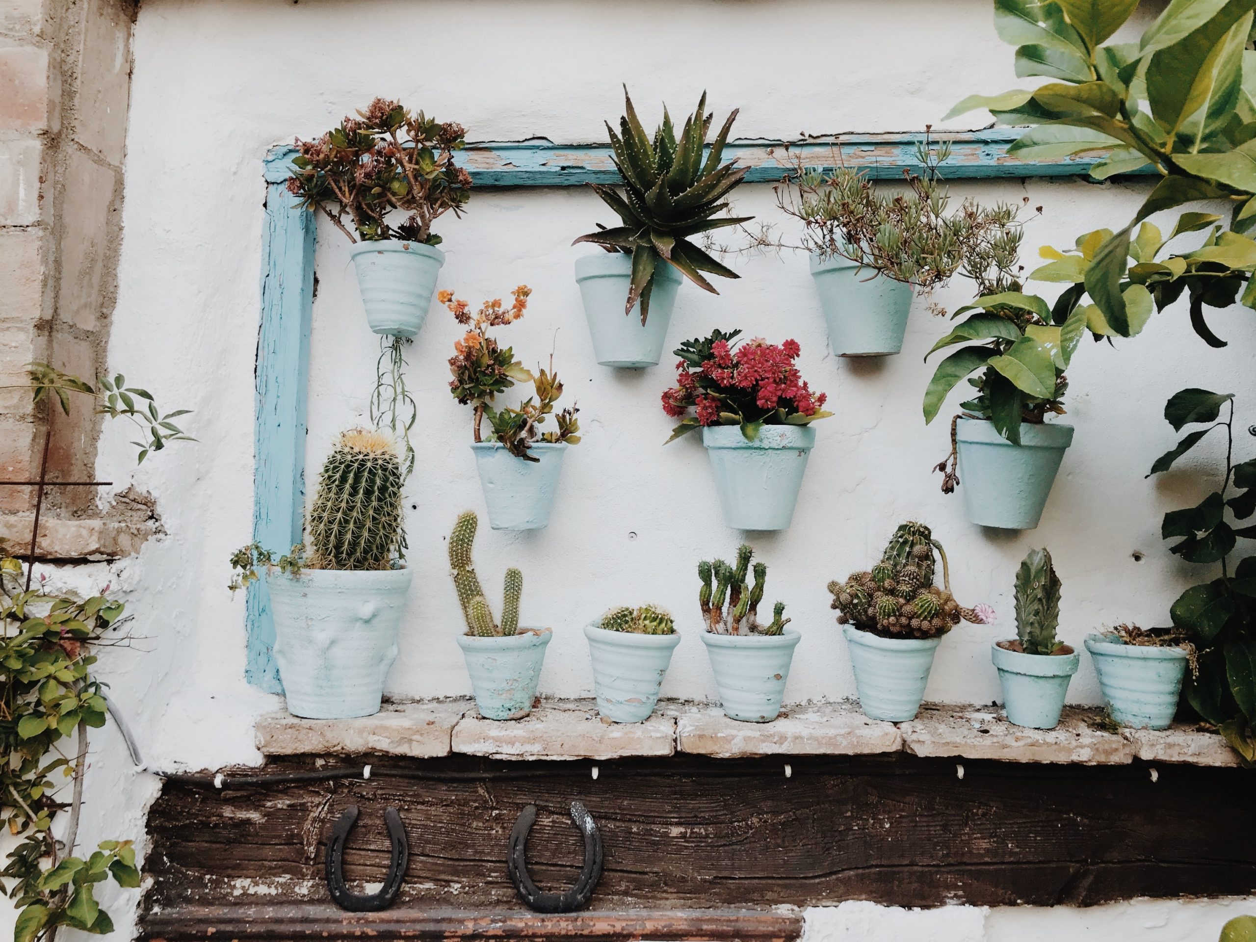 Como hacer un jardín vertical en casa