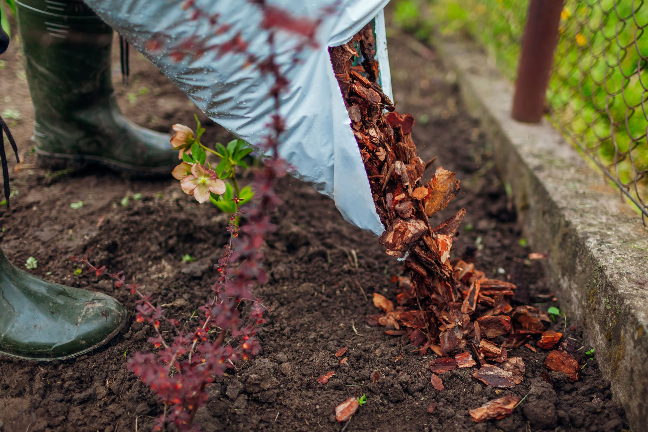 Aprende todo sobre el Mulching